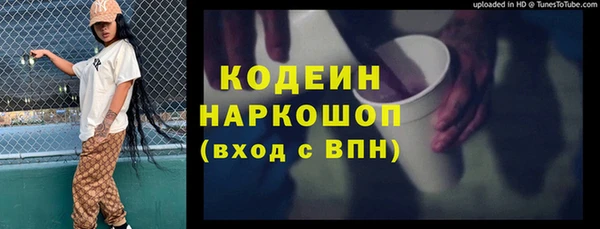индика Балабаново