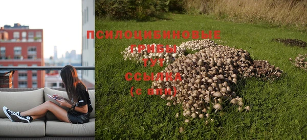 экстази Баксан