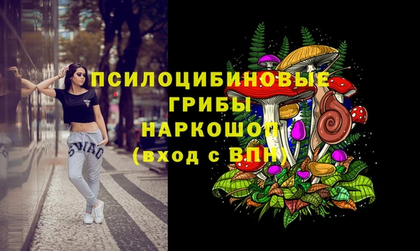 индика Балабаново
