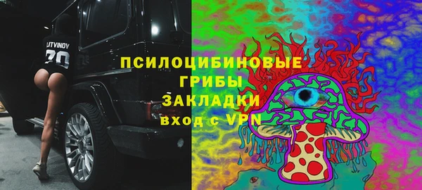 молекула духа Белокуриха